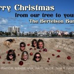 xmas_ 2012_4x6_FINAL_950x633